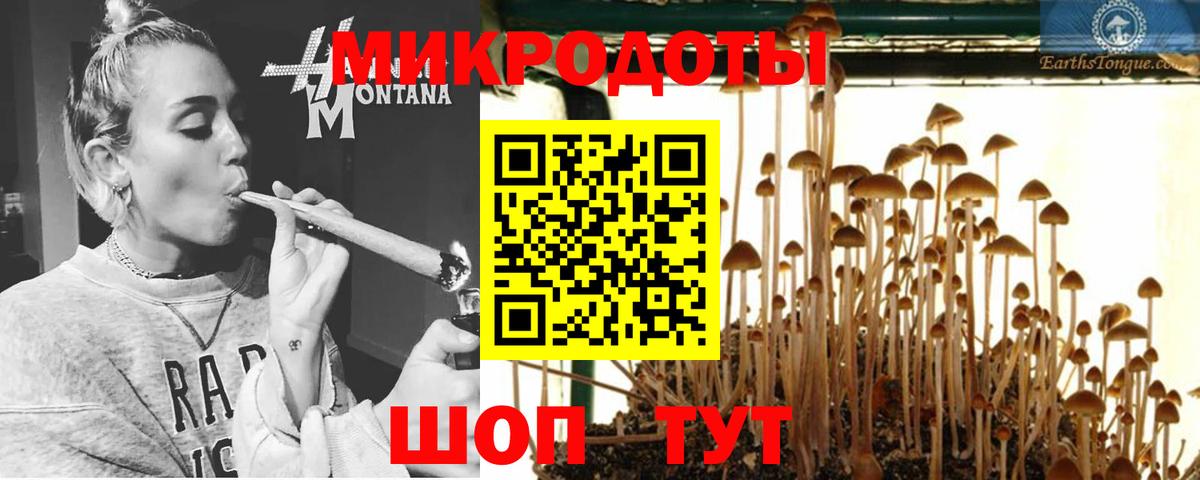 сколько стоит  Вход с VPN  Азнакаево  Псилоцибиновые грибы Psilocybine cubensis 